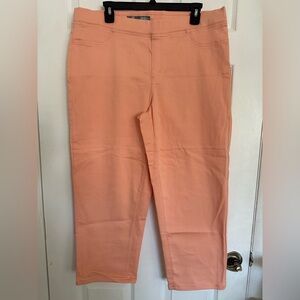 🆕One 5 One Pull on Jeans